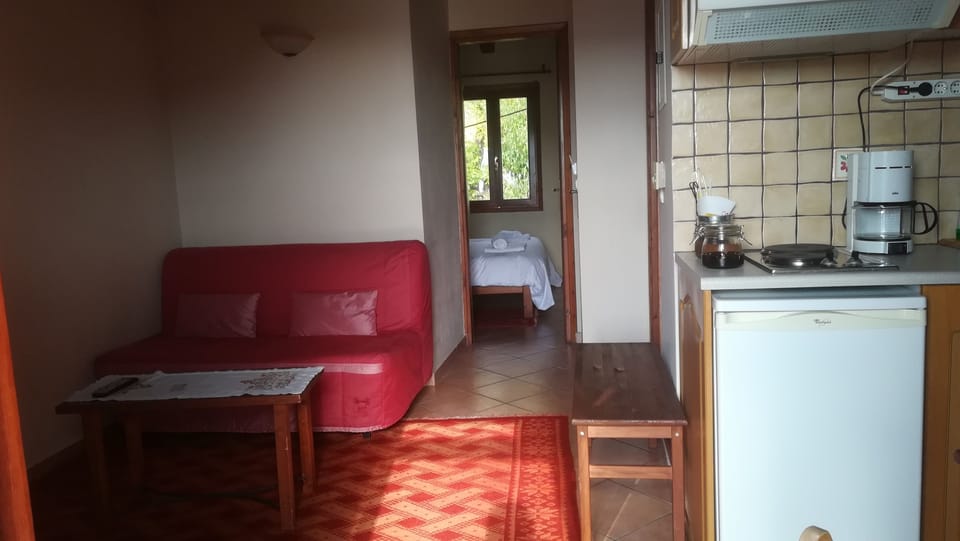 Deluxe Penthouse | Private kitchenette | Fridge, stovetop, coffee/tea maker, electric kettle
