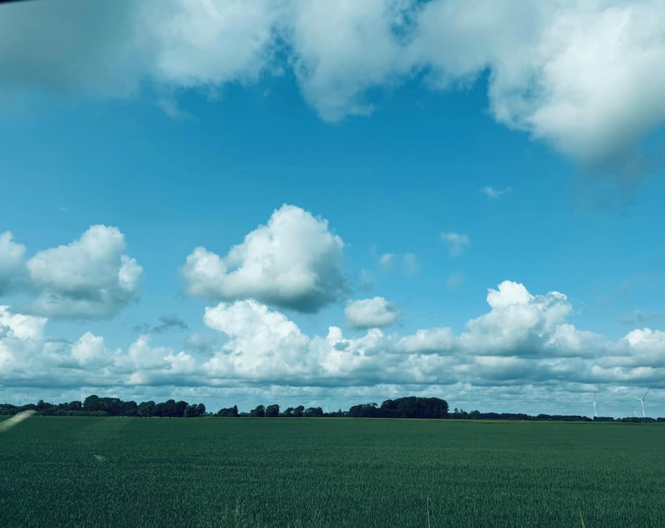 Miscellaneous