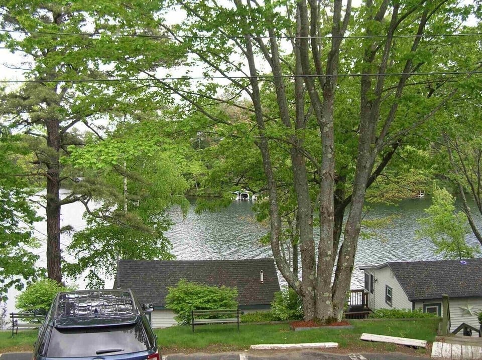 View from the back porch