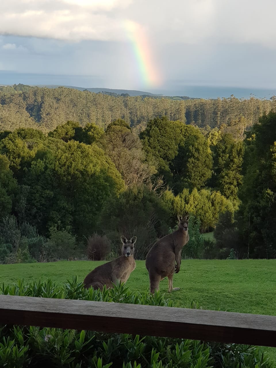 View from property