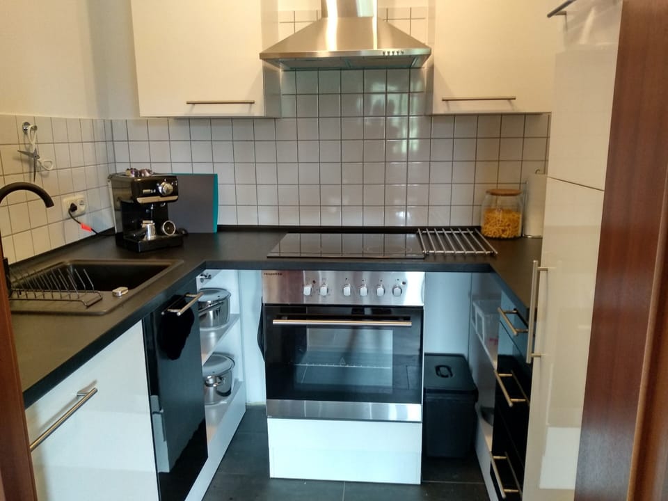 Apartment | Private kitchen | Full-size fridge, oven, stovetop, dishwasher