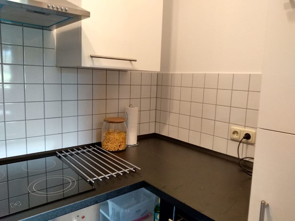 Apartment | Private kitchen | Full-size fridge, oven, stovetop, dishwasher