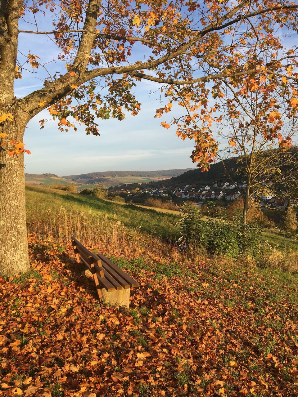 Hiking