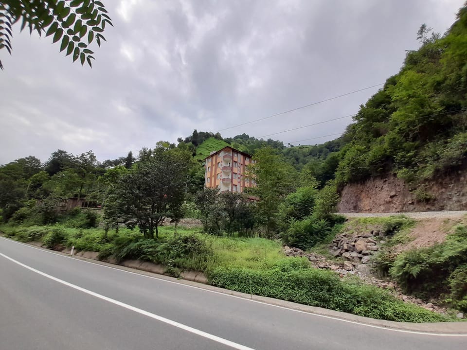 Mountain view