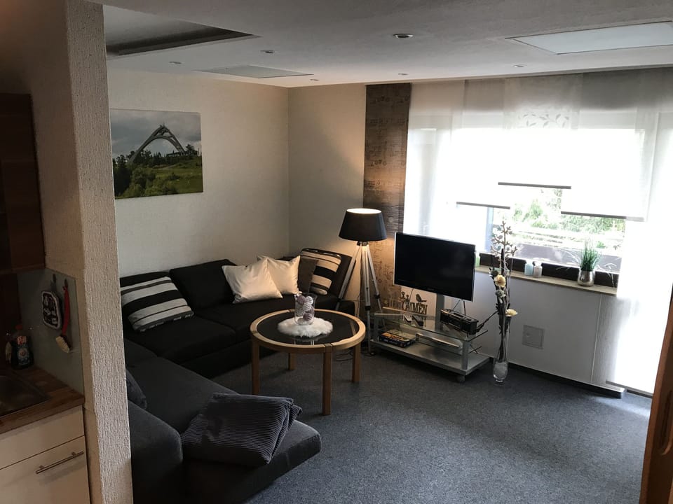 Apartment, 1 Bedroom | Living area | 42-inch TV with satellite channels, DVD player