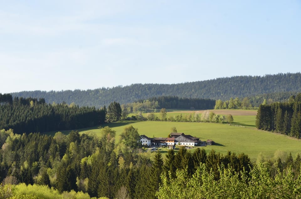 Land view from property