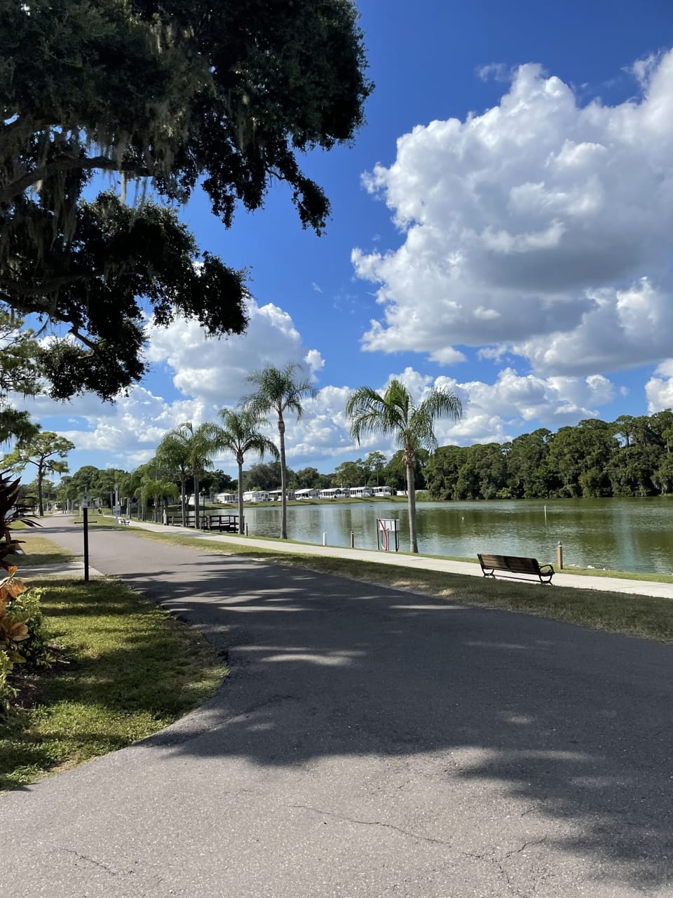 Lake Ibis