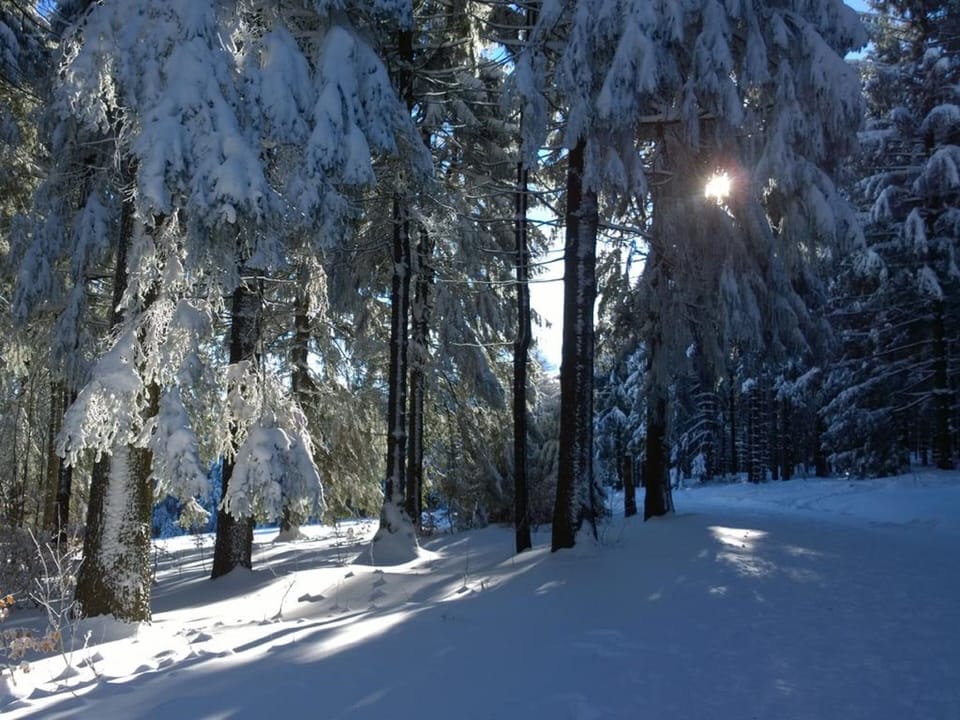 Hiking