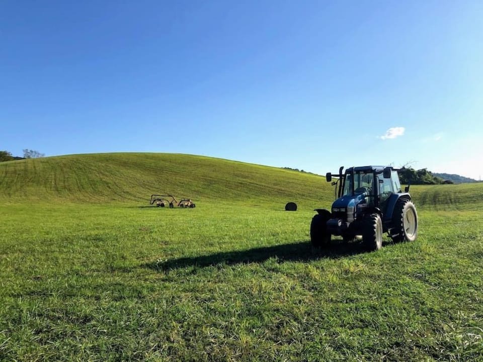 Spenceville farms is a working farm so you might see a friendly Farmer.