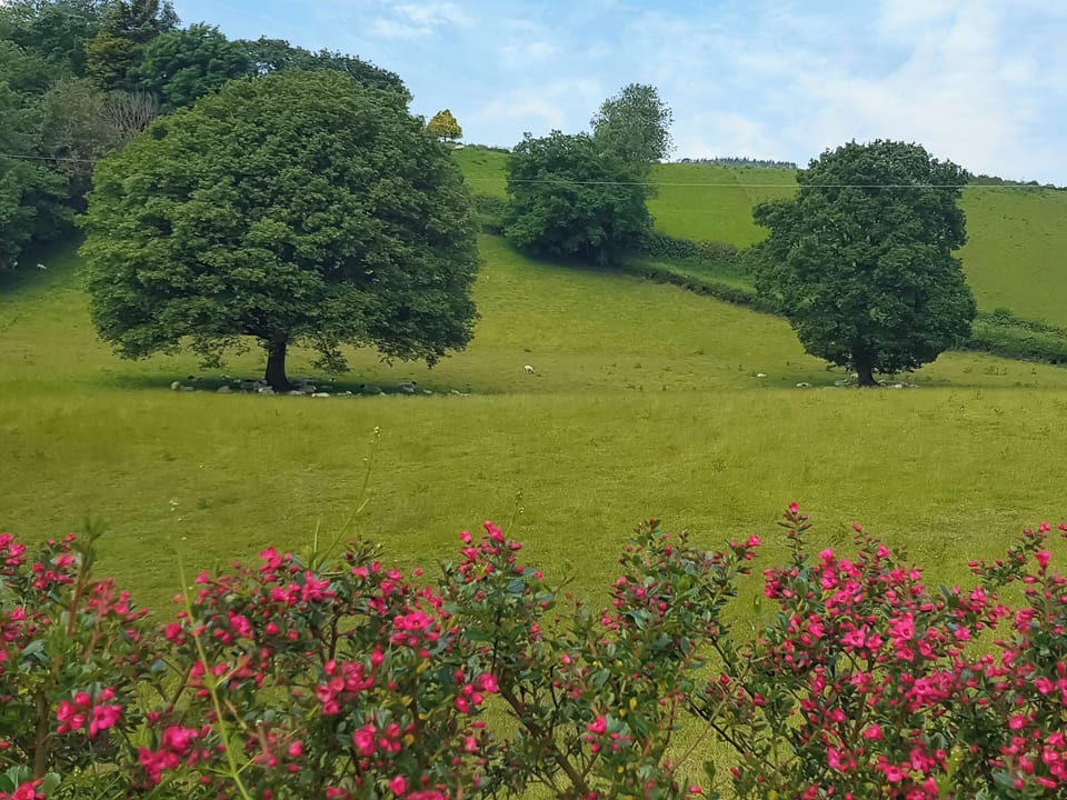 Surrounding area | Oak View - Unique Welsh Stays, Aberhafesp, near Newtown