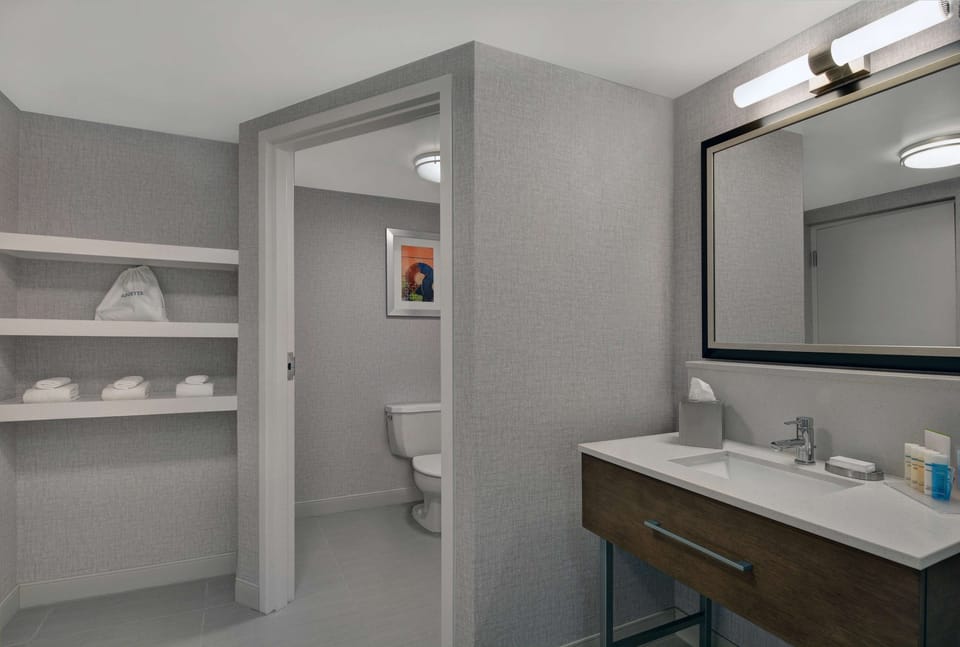 Deluxe Room, 1 King Bed (Large) | Bathroom | Combined shower/tub, hydromassage showerhead, hair dryer, towels