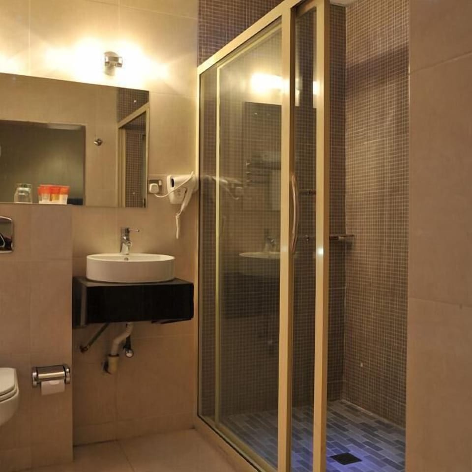 Hair dryer, towels, soap, shampoo