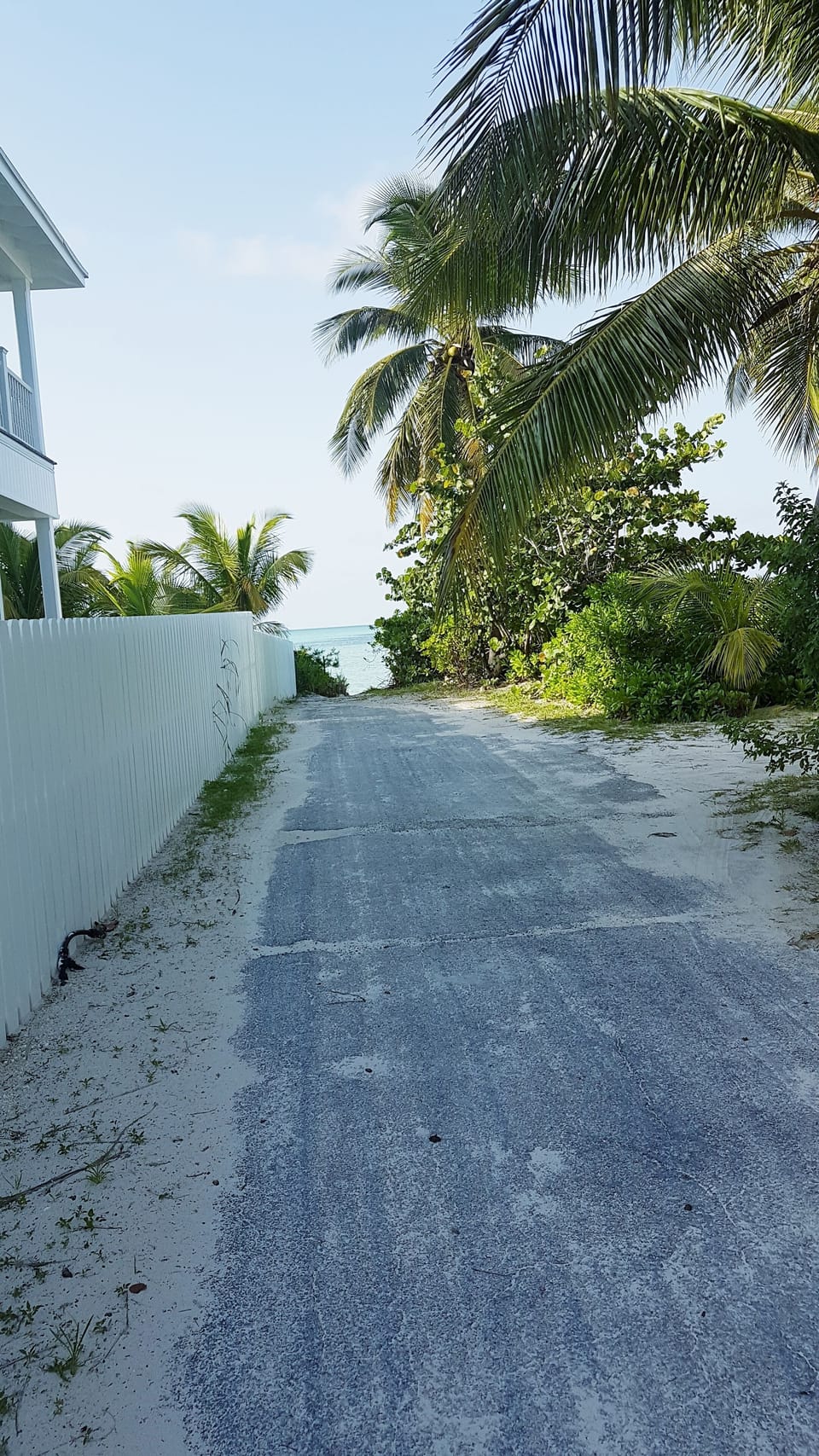 Path to beach