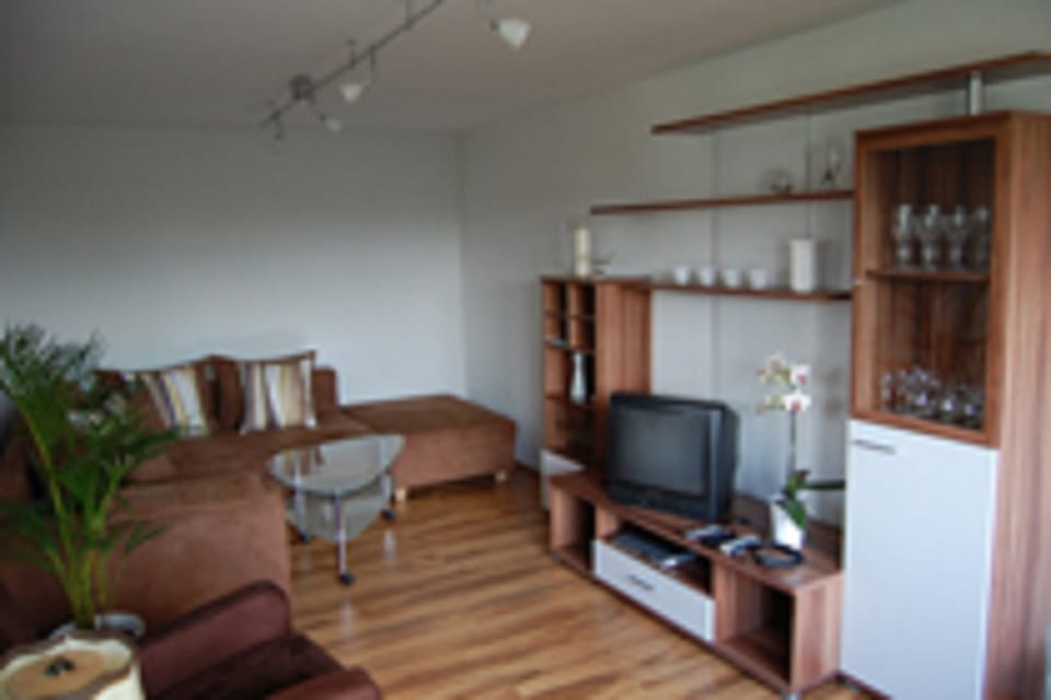 Apartment | Living room | 42-inch TV with cable channels, DVD player