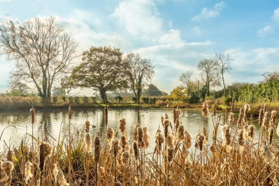 Great Bircham village duck pond