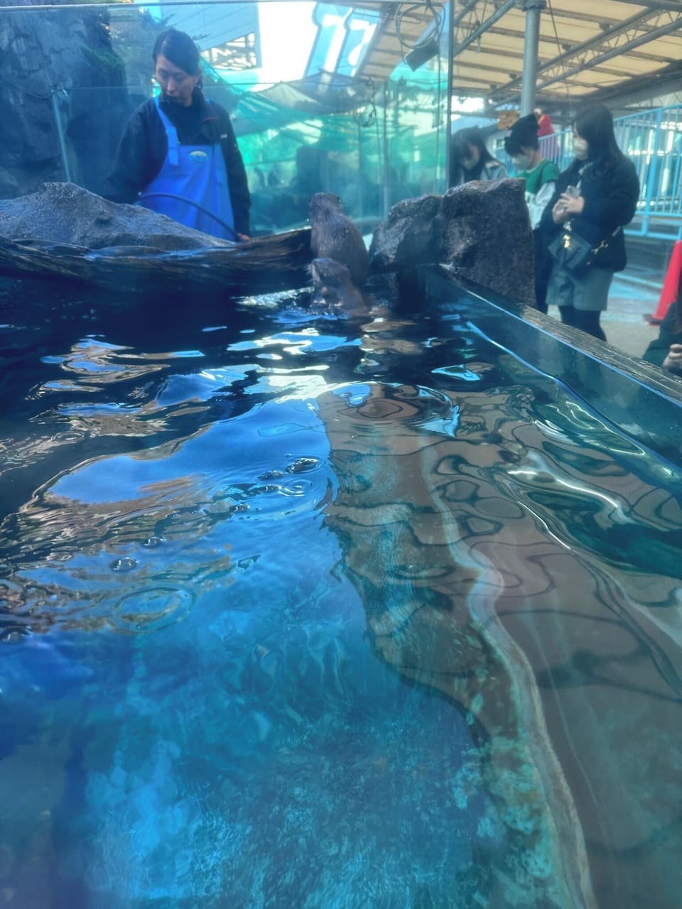 Toba Aquarium is just a few minutes walk away.