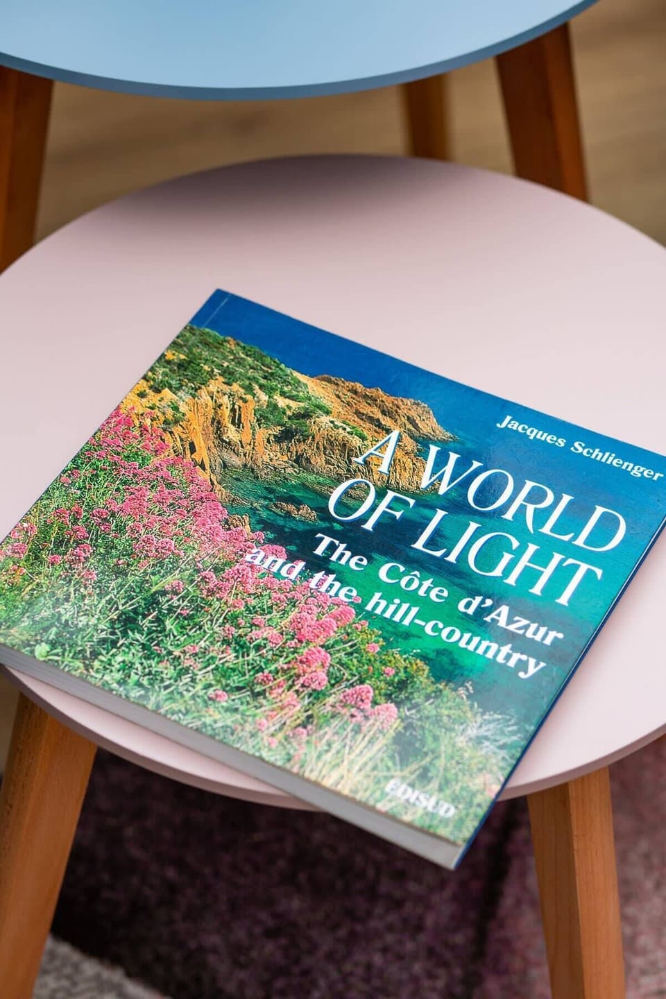 A small table with a travel guidebook and a decorative plant, placed as an inviting detail for guests.