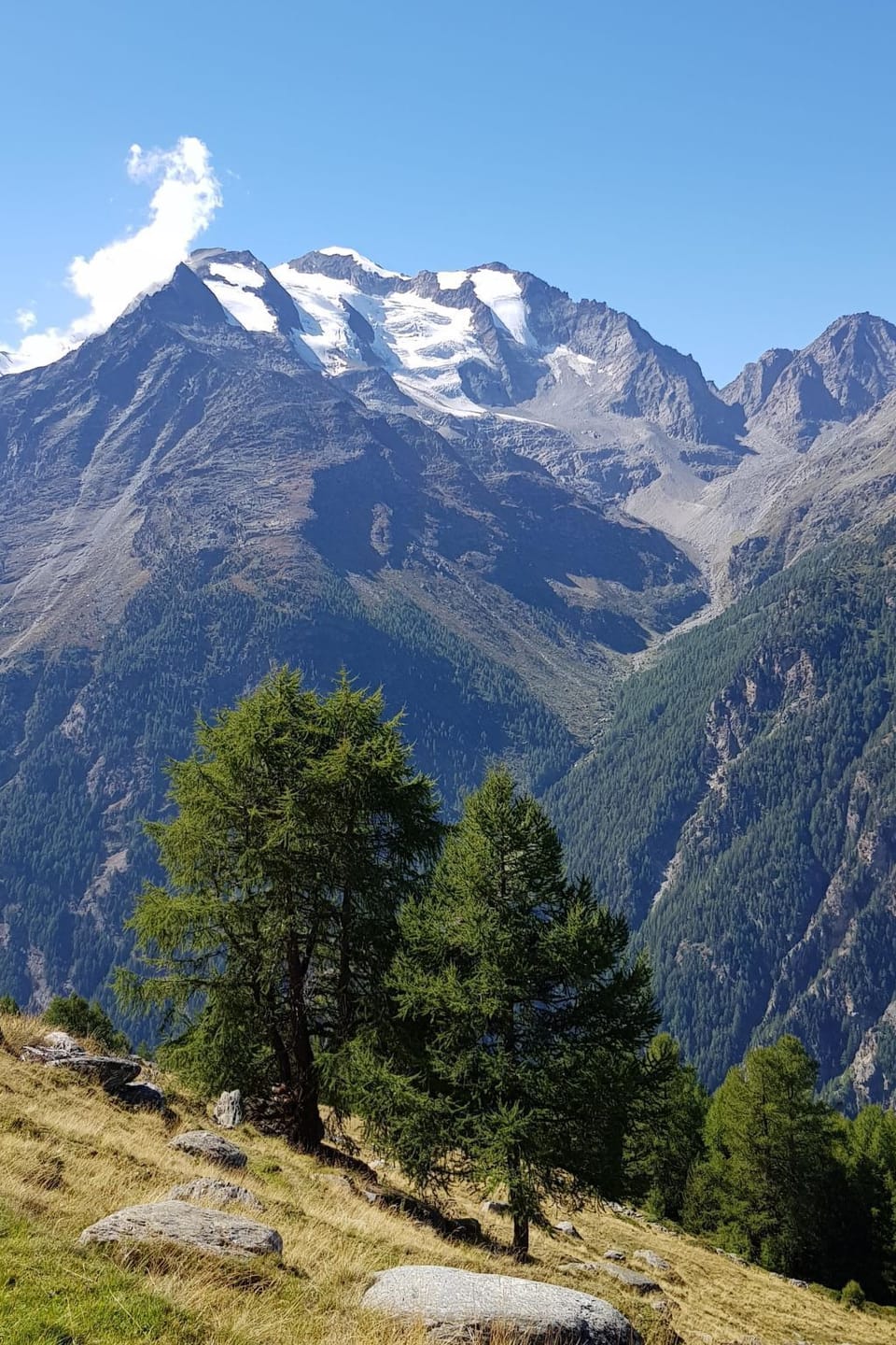 View