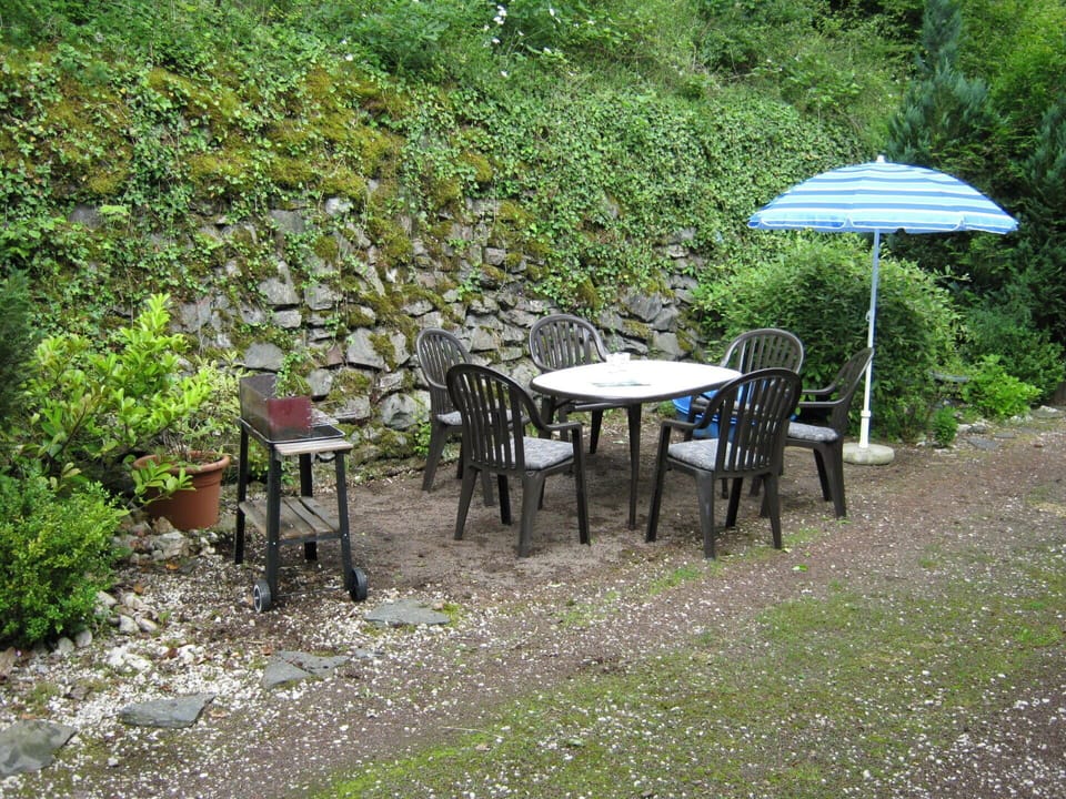 Table, Nature Reserve, Garden, Furniture, Tree, Outdoor Table, Botany, Yard, Leaf, Grass