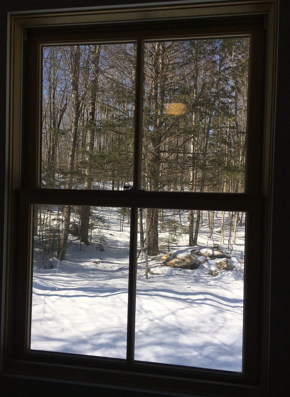Beautiful view