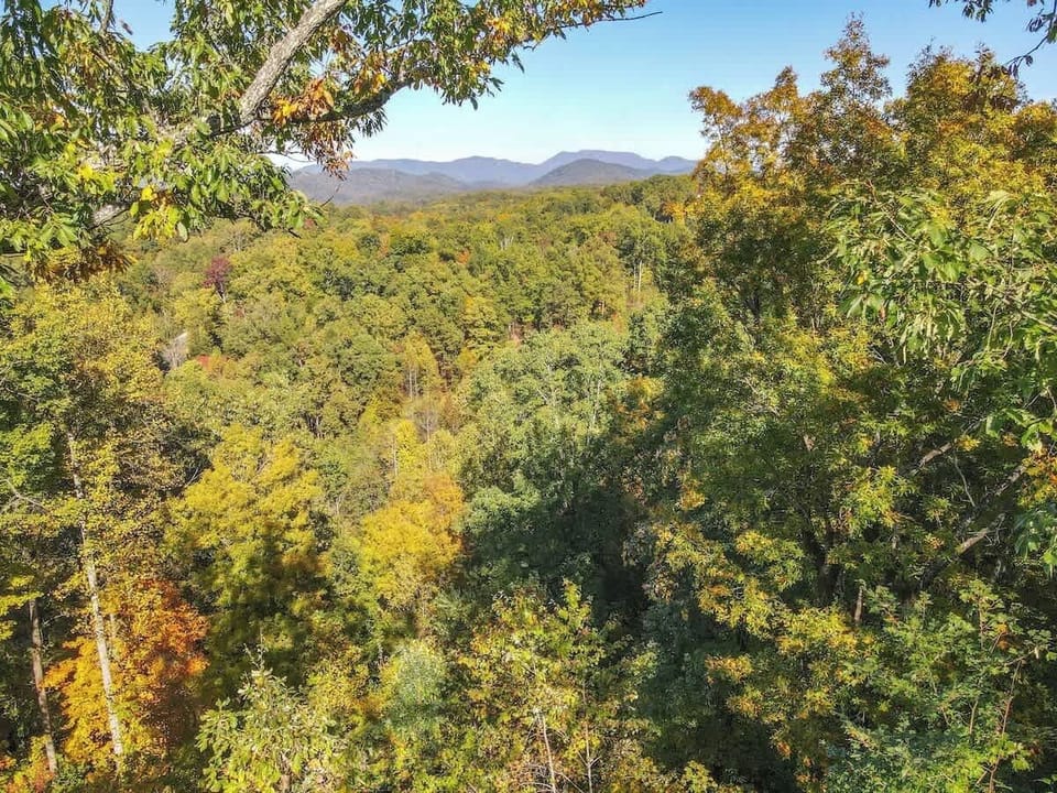 That view from the cabin again!