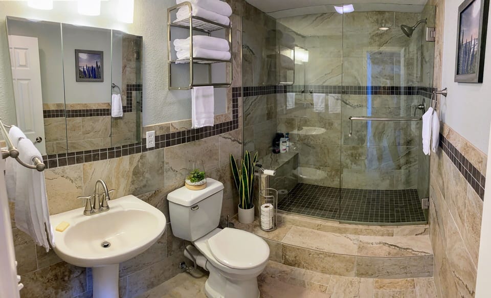 Lower level master suite bathroom