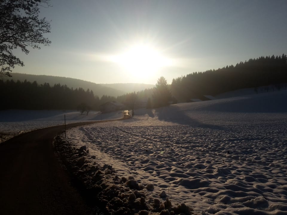 Hiking