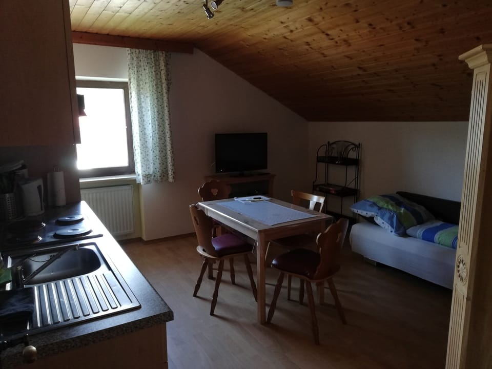 Apartment, 1 Bedroom | Living area | 42-inch TV with satellite channels