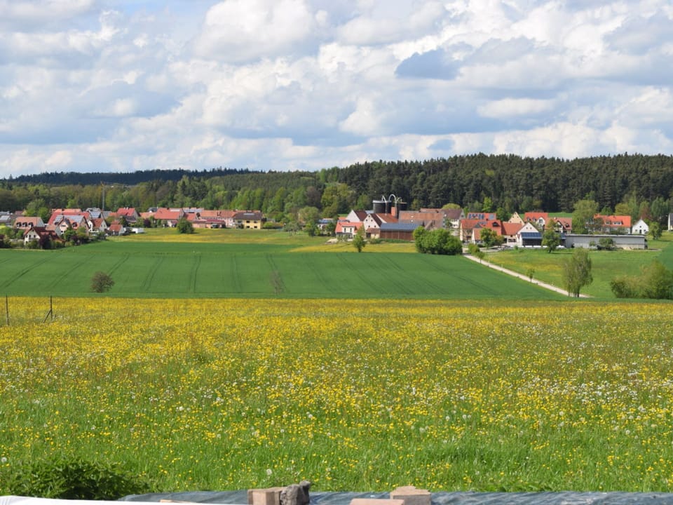 Land view from property