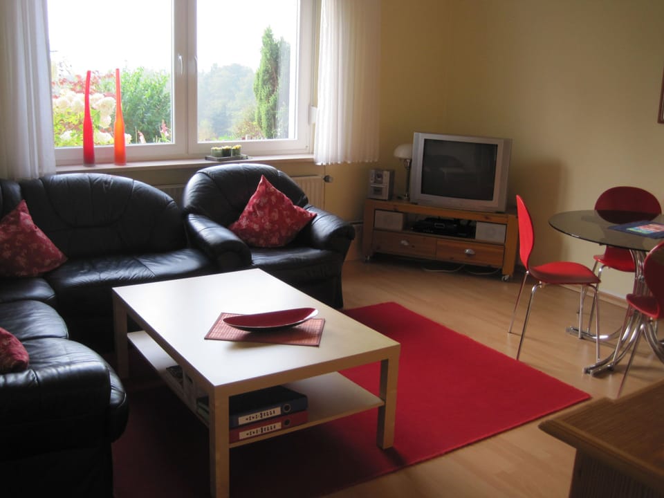 Apartment | Living area | 32-inch flat-screen TV with satellite channels, TV, DVD player
