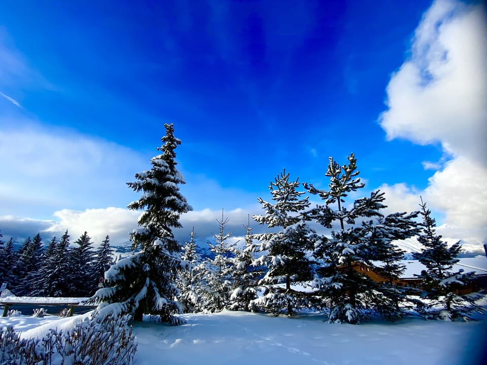 Snow and ski sports