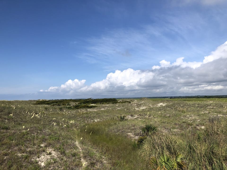 Dunes at Sunset Beach. 