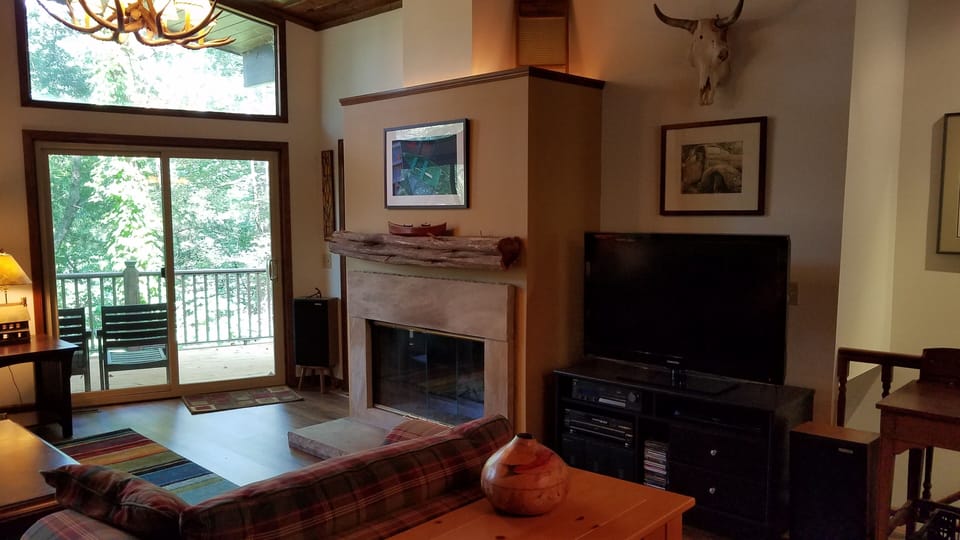 Woodburning fireplace