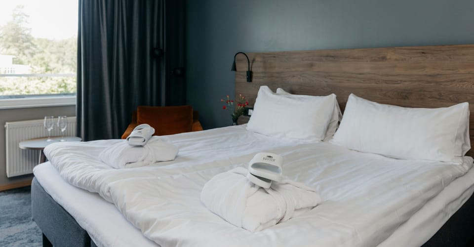 Double Room (Plus) | In-room safe, desk, WiFi (free), alarm clocks