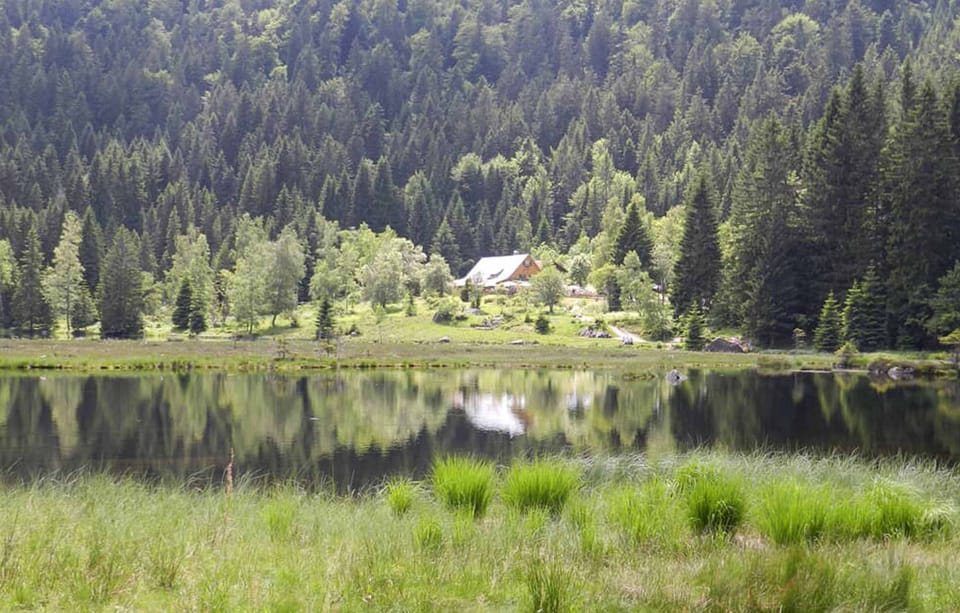 Gästehaus Schmalzreich Bed and Breakfast in Bavaria