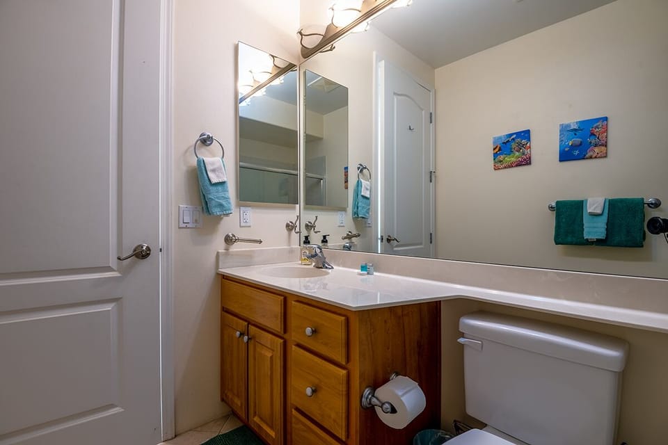 Lower Bathroom