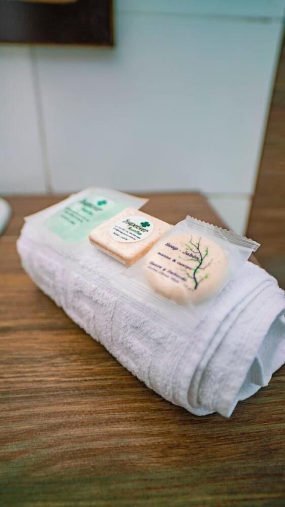 Shower, bidet, towels, soap