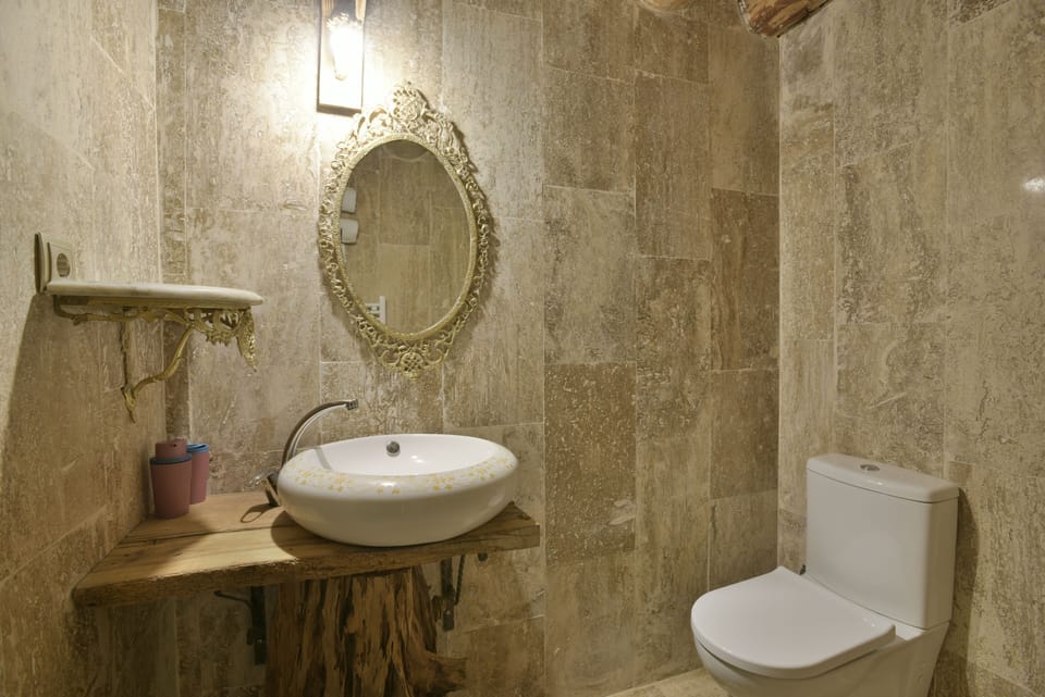 Deluxe Room | Bathroom | Shower, rainfall showerhead, free toiletries, hair dryer
