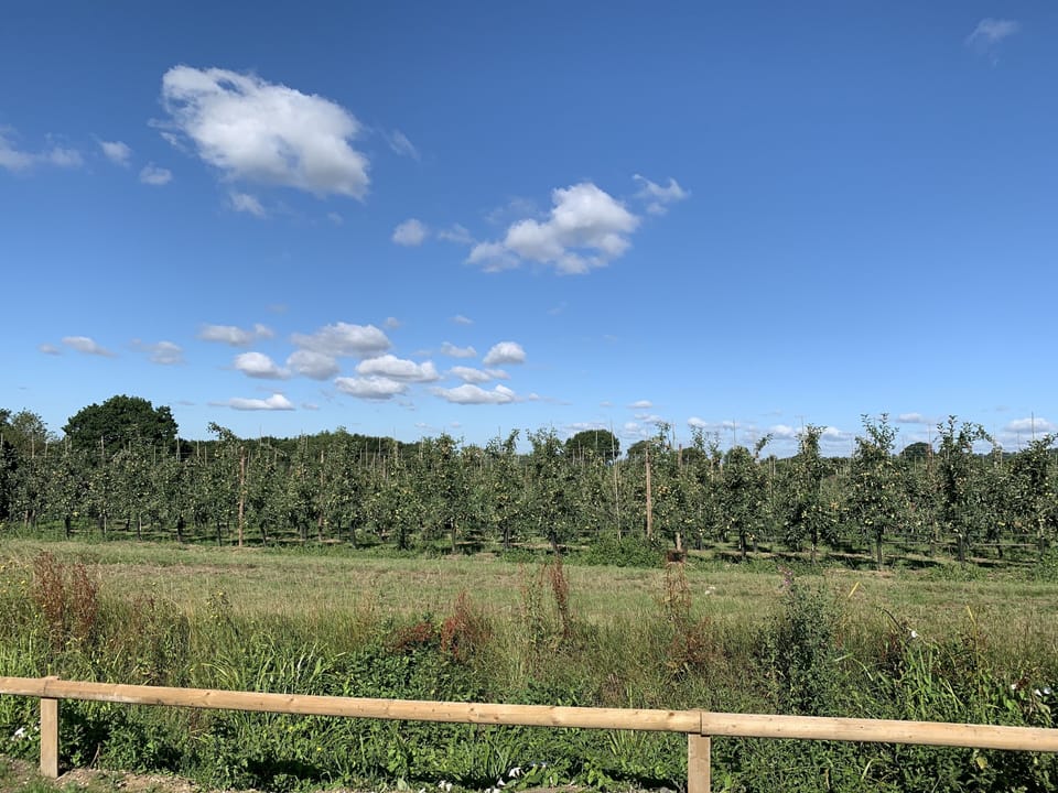 Family Cottage, Private Bathroom (Blackberry) | View from property