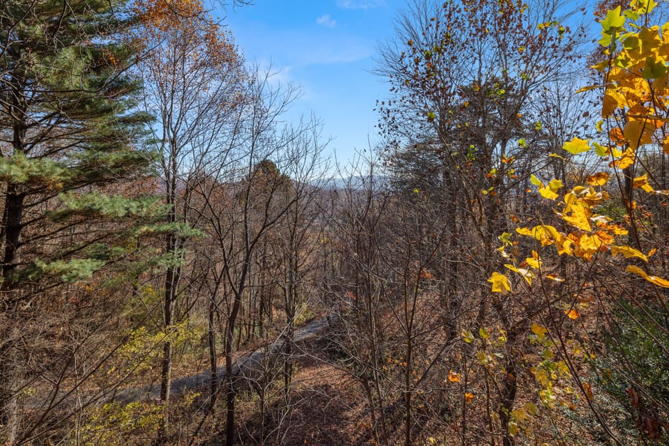 Enjoy the peace and quiet of the woods!