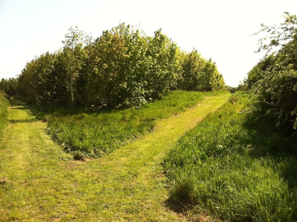Guests are welcome to walk in the forest near the Henhouse