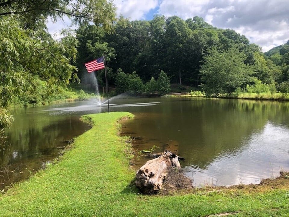 Pond from wooden swing. 