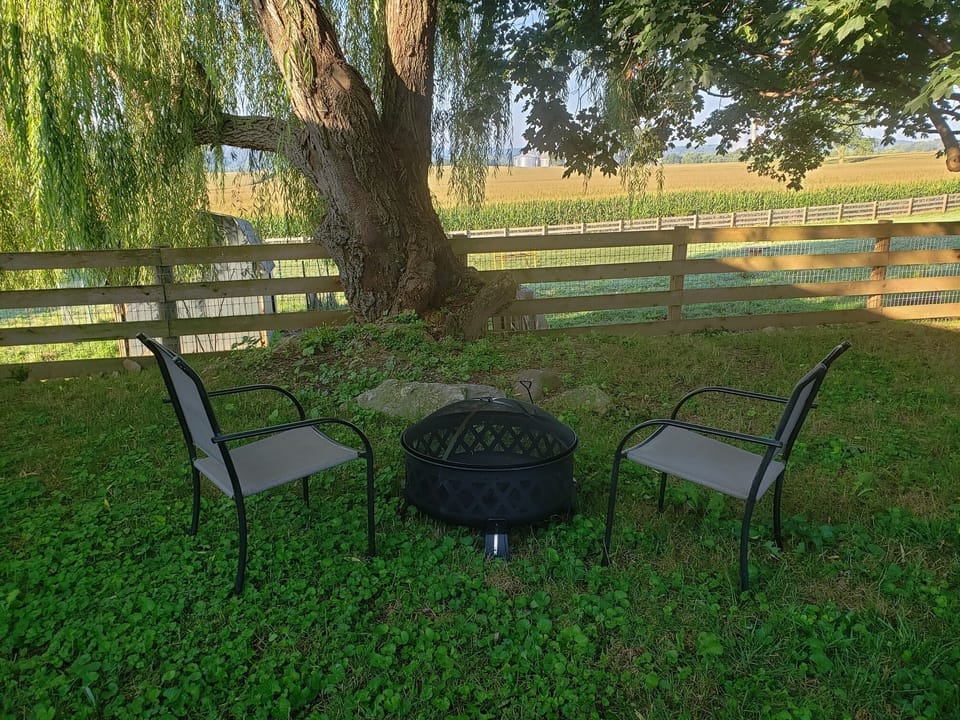 fire pit outside the cabin - we are happy to supply you with wood!