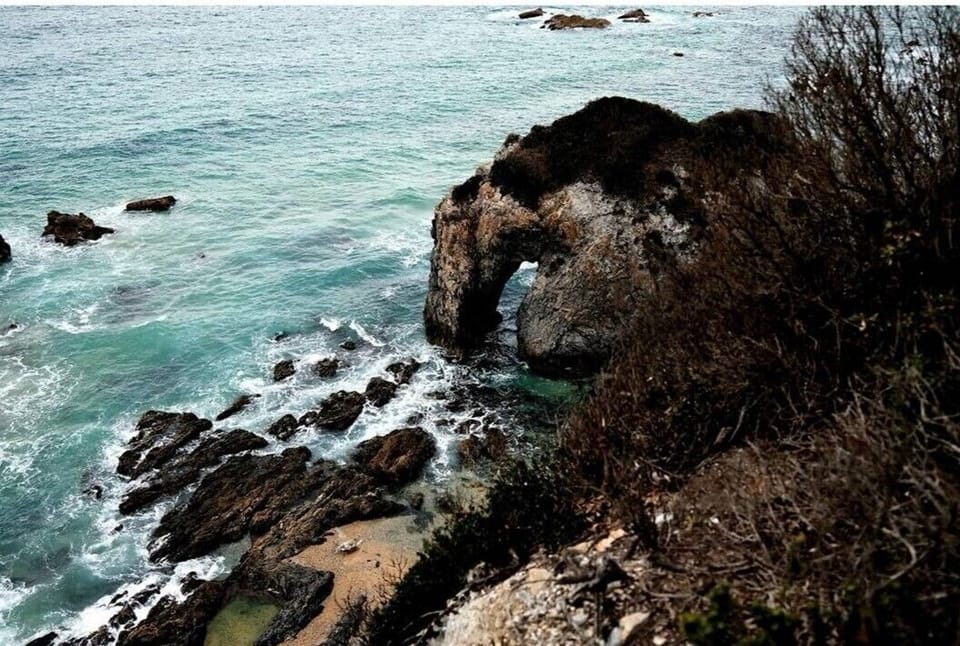 Horsehead rock at Bermagui