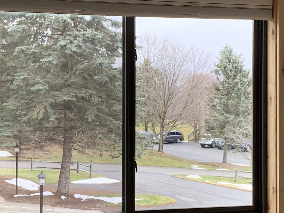 The beautiful view of the slopes across the street from the 2nd Fl Master. 