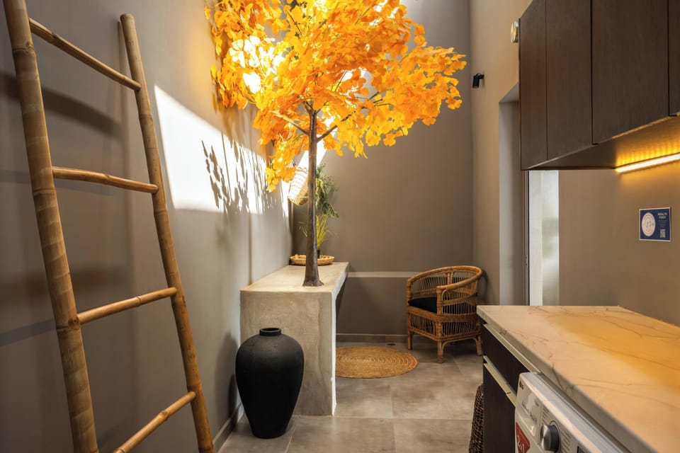 Laundry facilities (washing machine and dryer)