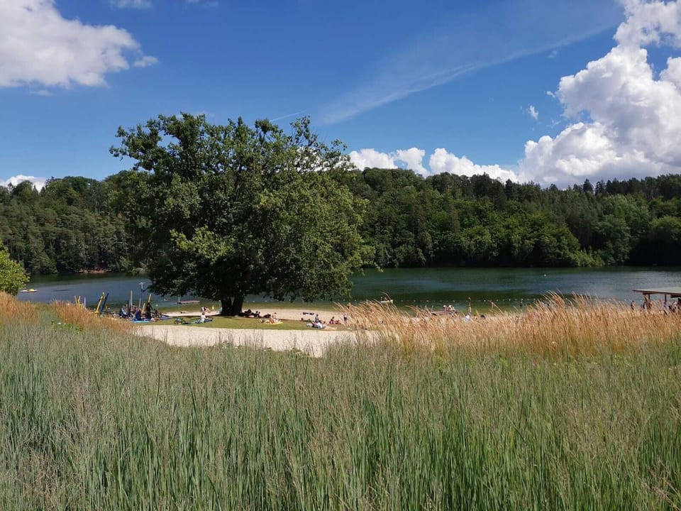 Lake