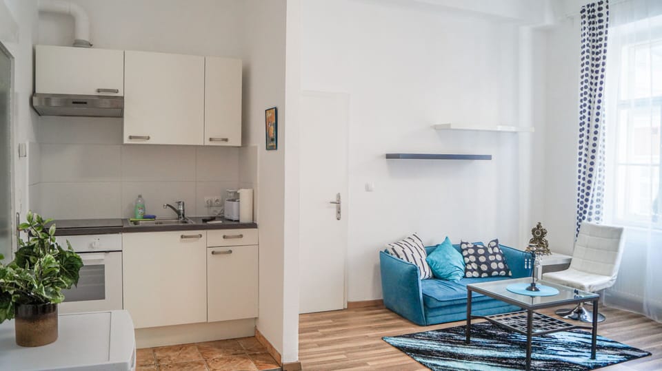 Basic Apartment | Private kitchen | Fridge, oven, stovetop, coffee/tea maker