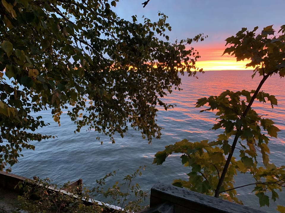 View from property