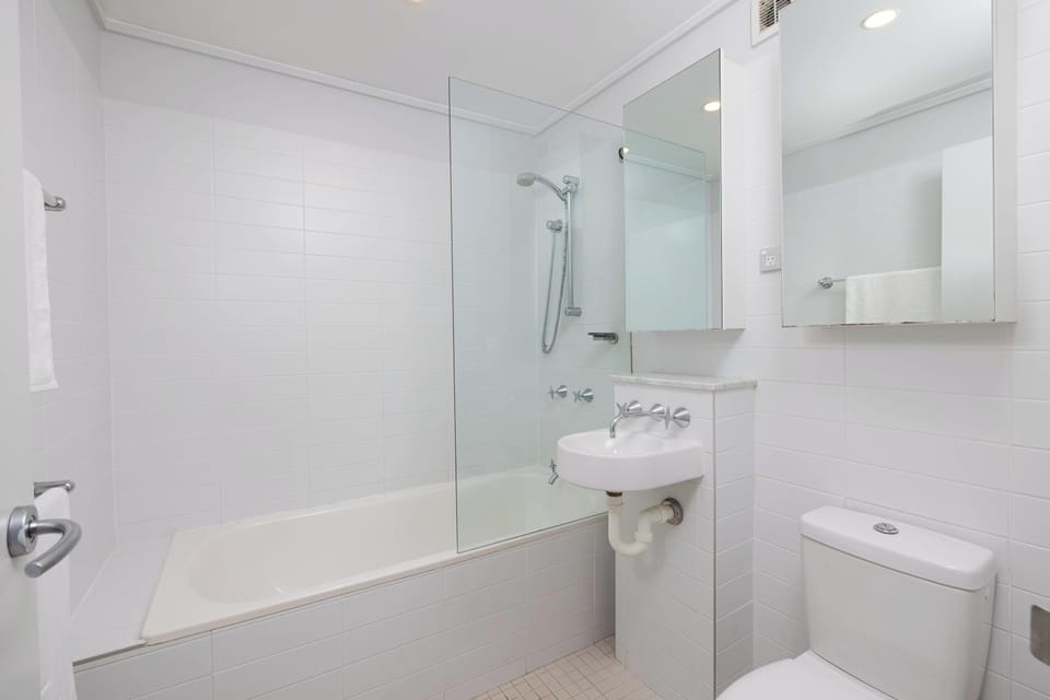 Main bathroom lower level